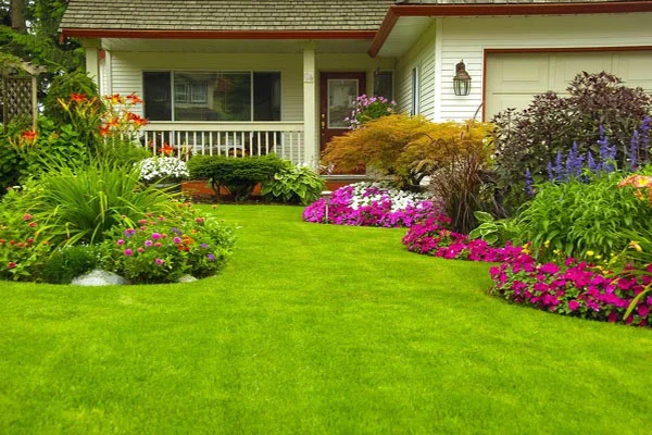 Reliable Landscape Maintenance Service in Fort Collins CO Reliable Landscape Maintenance Service in Fort Collins CO